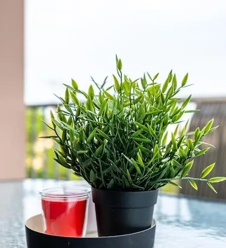 Pavlina's Three Minutes From טולון